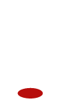 NZONE_DZ_Icon_White